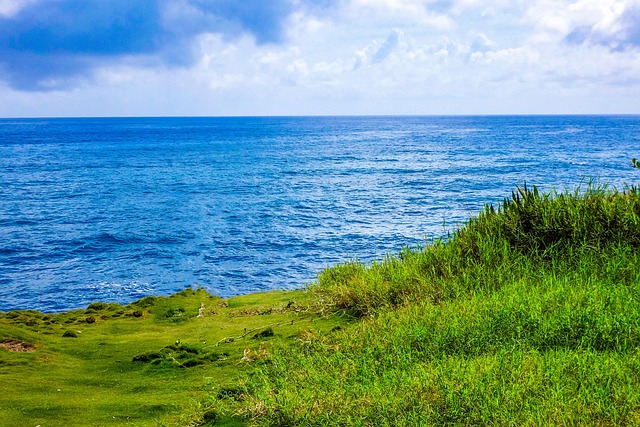 🌱 Marketing Verde: Cómo transformé mi negocio siendo sostenible y ganando clientes fieles 30 sea, atlantic, coast, ocean, nature, cabo verde, romantic, heaven, rocky coast, cliff, beach, vacations, water, relax, waves, cabo verde, cabo verde, cabo verde, cabo verde, cabo verde